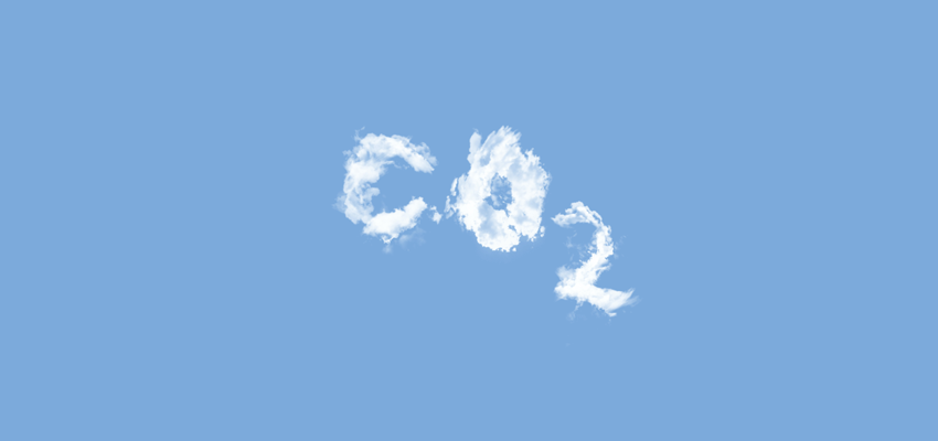 Warum CO₂-Kompensation oft Quatsch ist – Einfach Erklärt